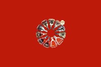 伊犁州沙湾回收红酒